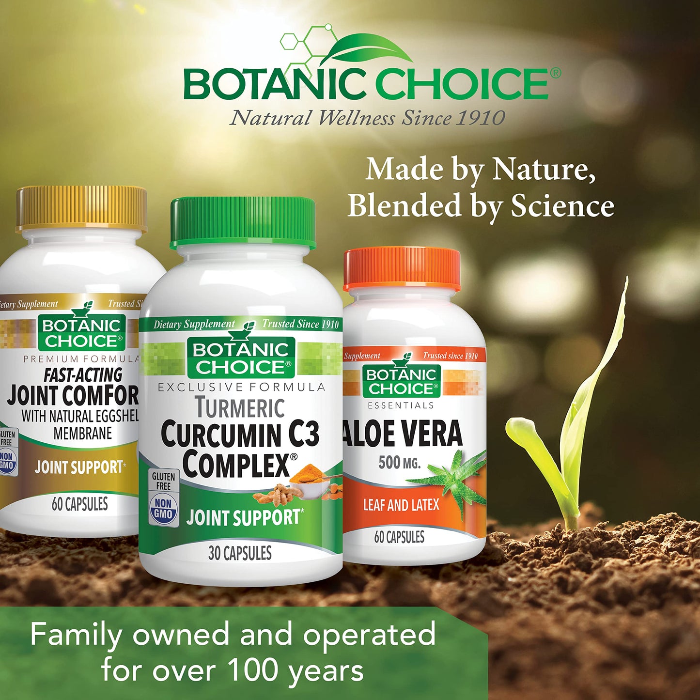 Botanic Choice Curcumin C3 Complex with Bioperine Capsule 30 Count