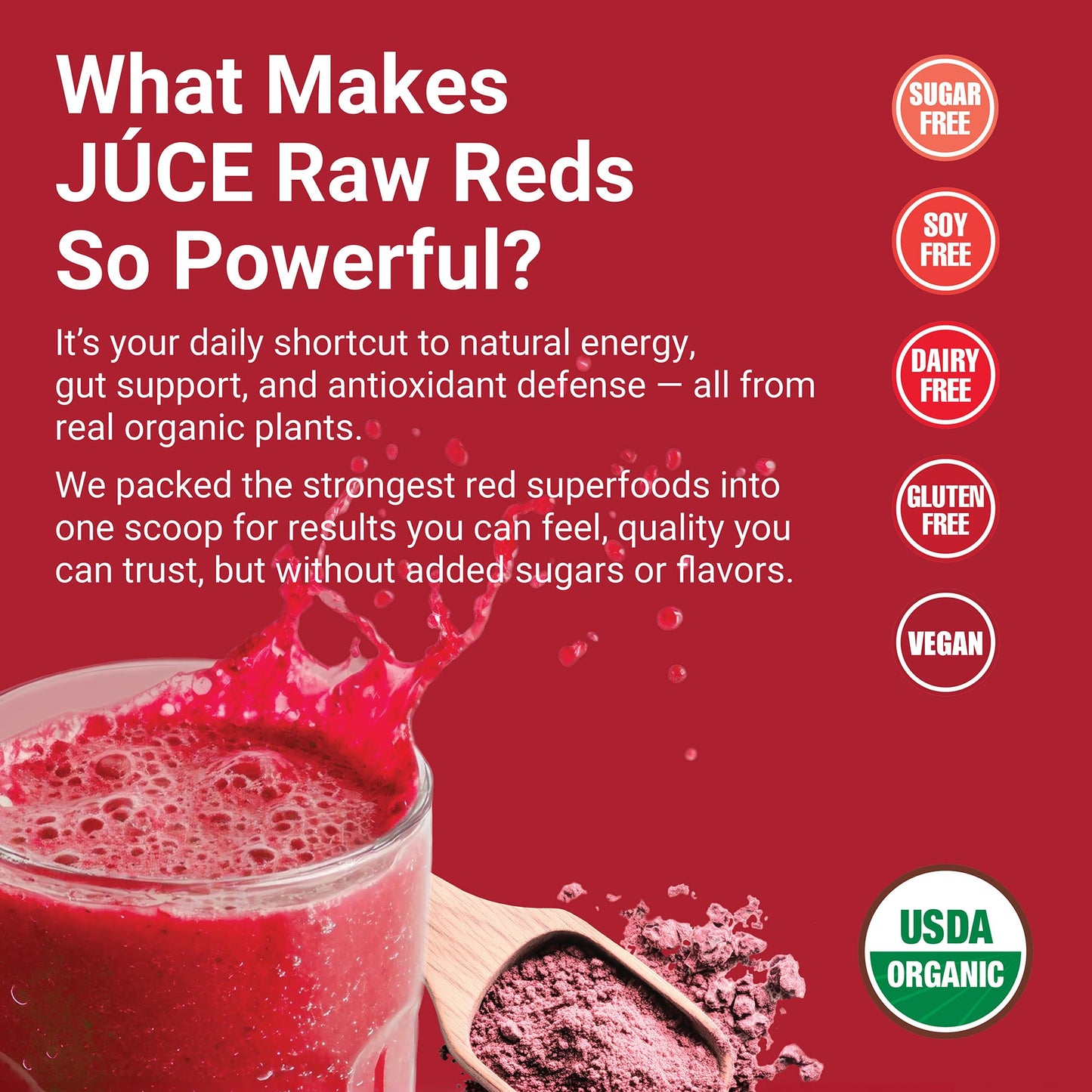 Terra Kai Organics Juce Raw Reds Organic Superfood Powder 7.04 oz