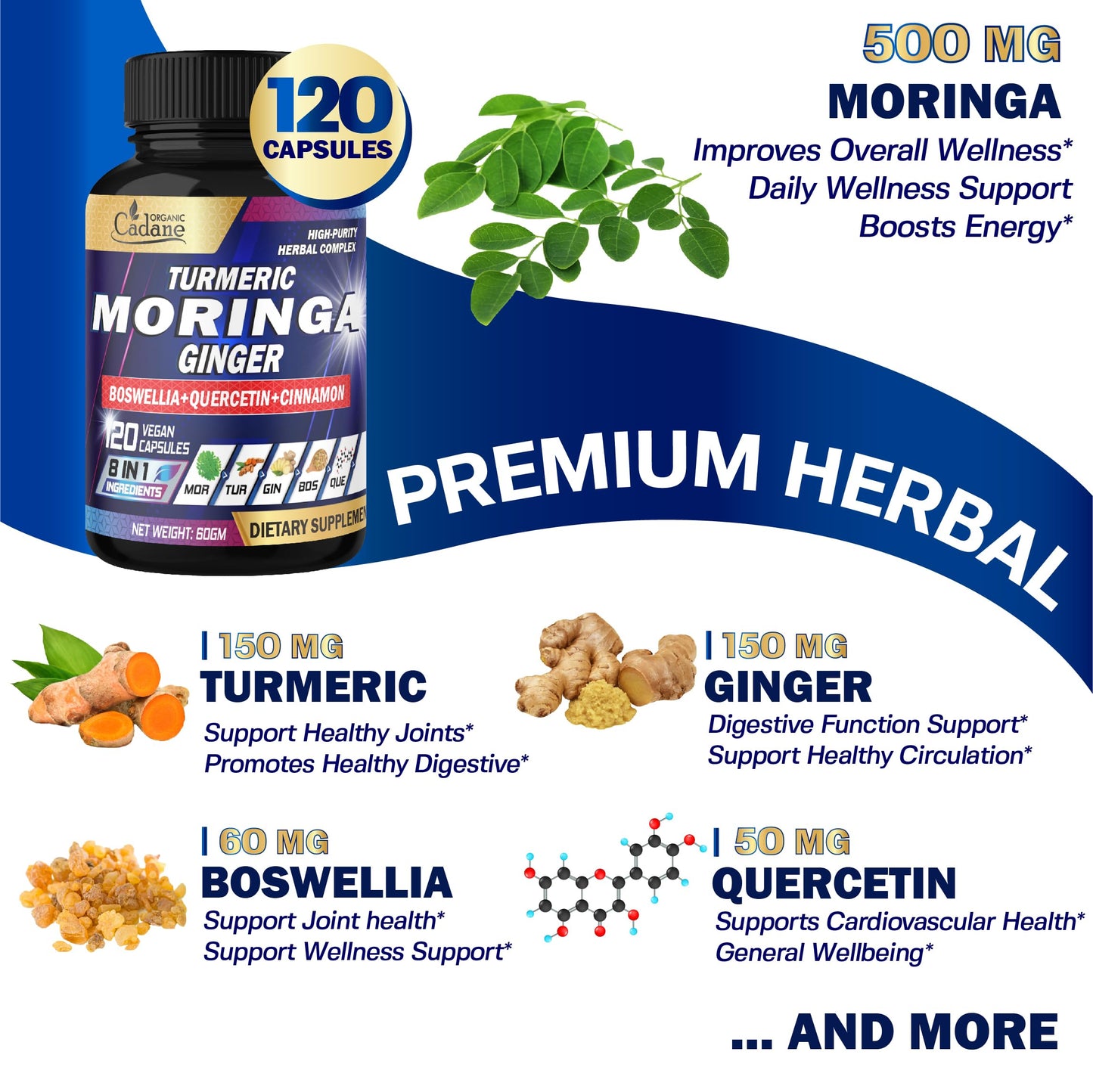 Organic Cadane Moringa Leaf Turmeric Ginger Supplement Capsules 120 Count