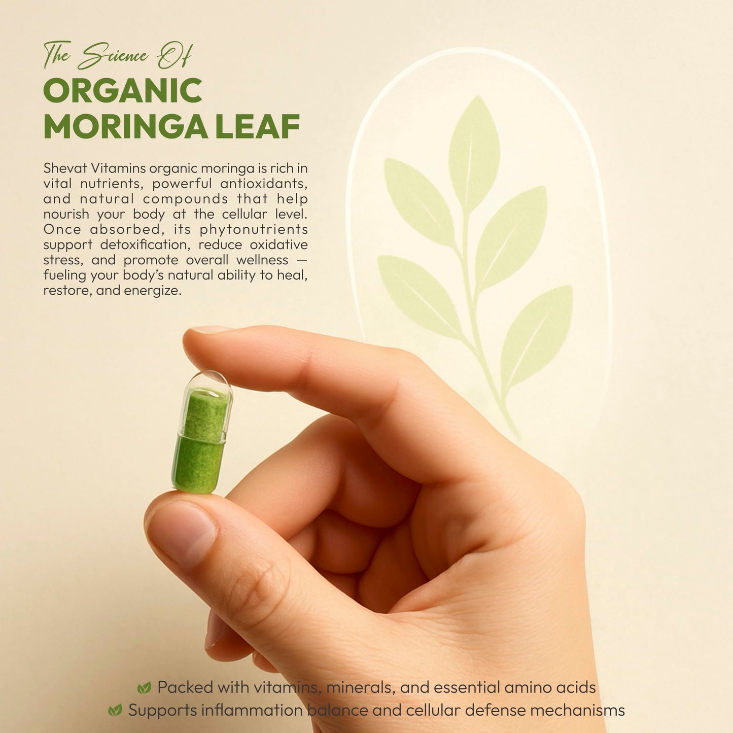 SHEVAT VITAMINS Organic Moringa Leaf Capsules 1000mg, 90 Capsules
