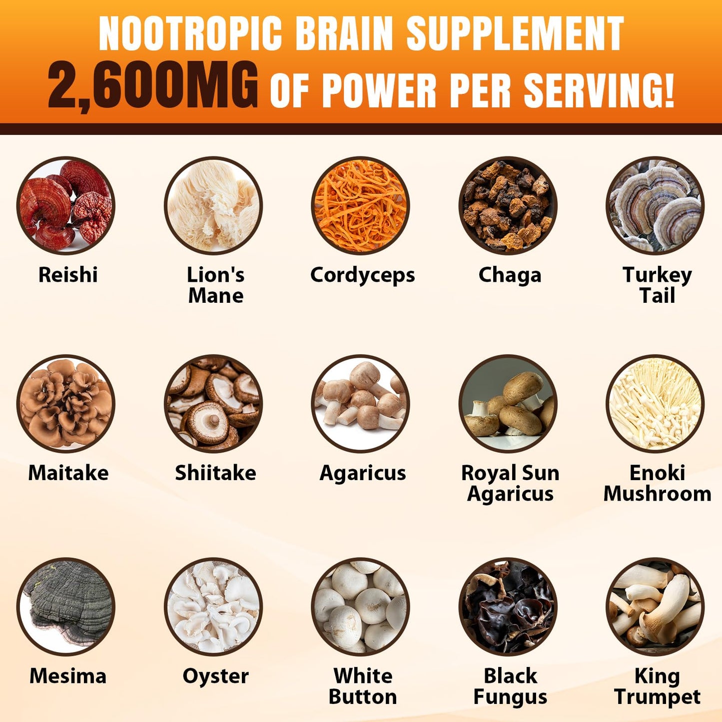 Tioewque Brain Supplements for Memory and Focus Mushroom Capsule, 20 in 1 Complex with Lions Mane, Reishi, Turkey Tail, Cordyceps, Shiitake, 120 Capsules