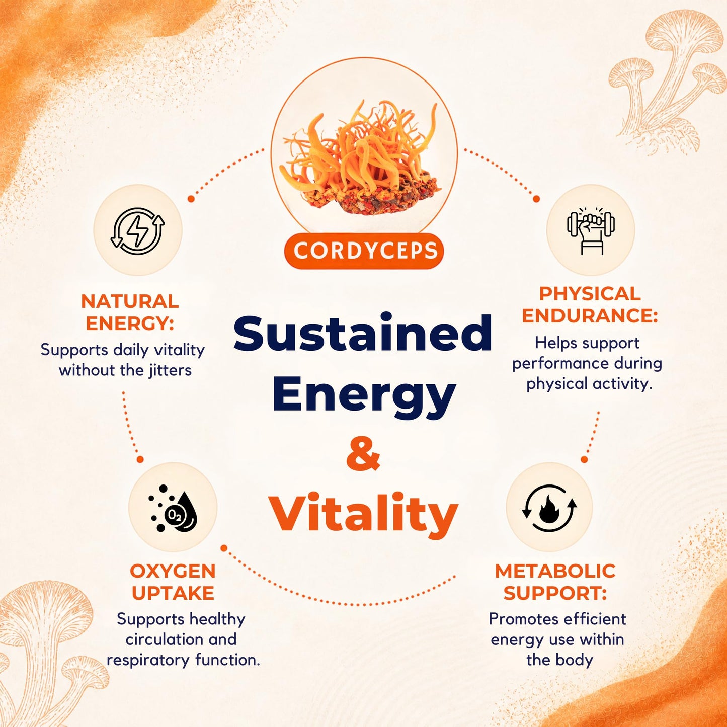 MALAMA MUSHROOMS Cordyceps Extract Powder, 3.5 oz