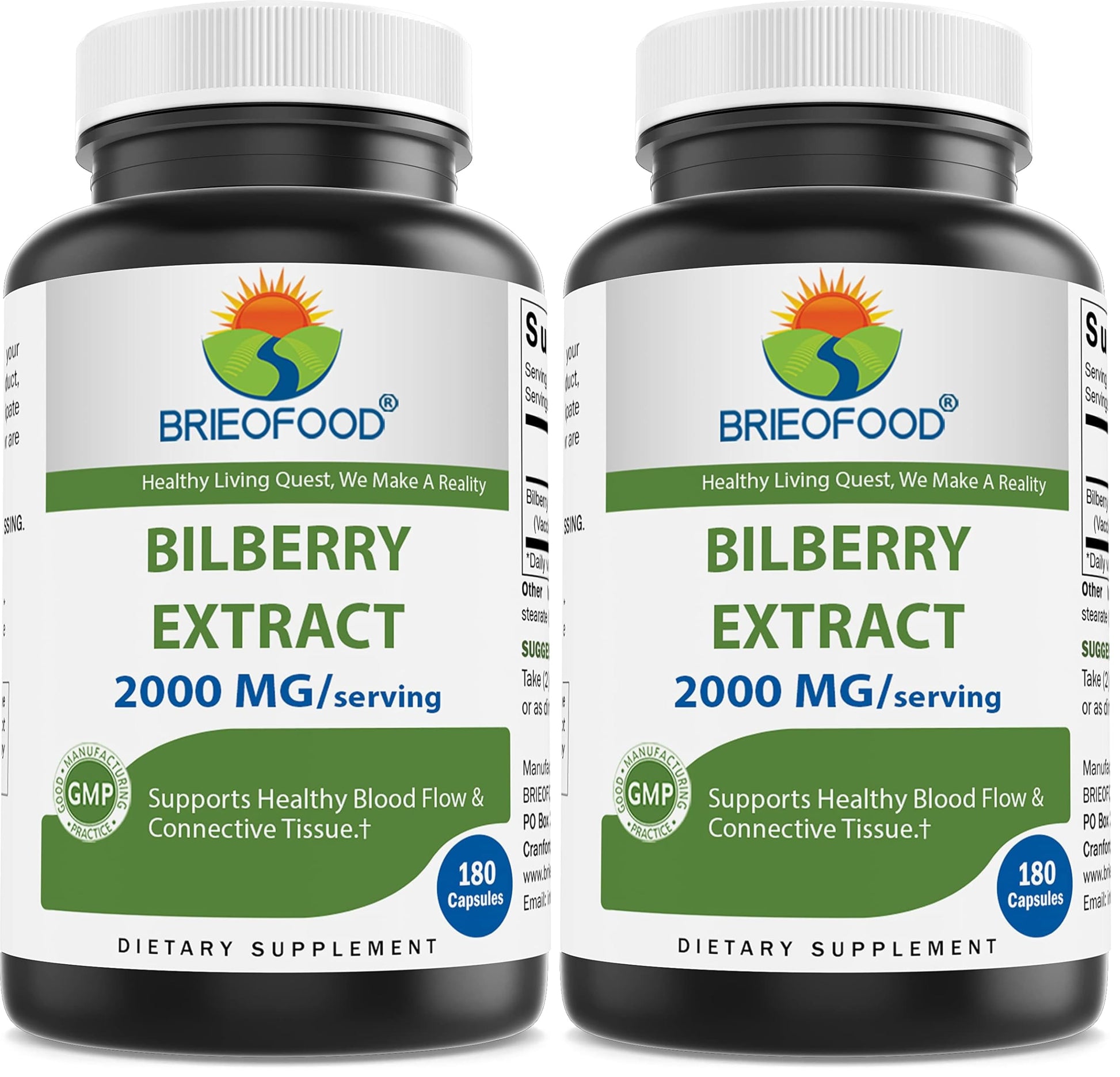 Brieofood Bilberry Extract 2000 mg per Serving Capsules 360