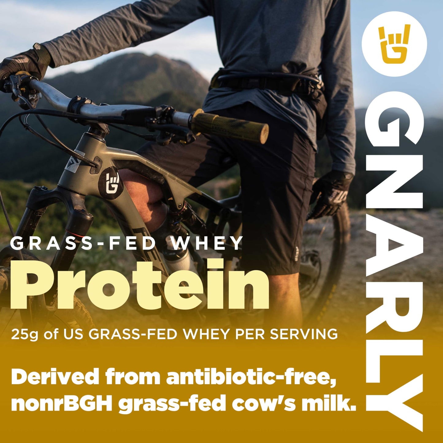 Gnarly Nutrition Creatine Powder, Unflavored (16.05 oz) and Gnarly Whey Grass-Fed Protein Powder, Chocolate (32.0 oz)