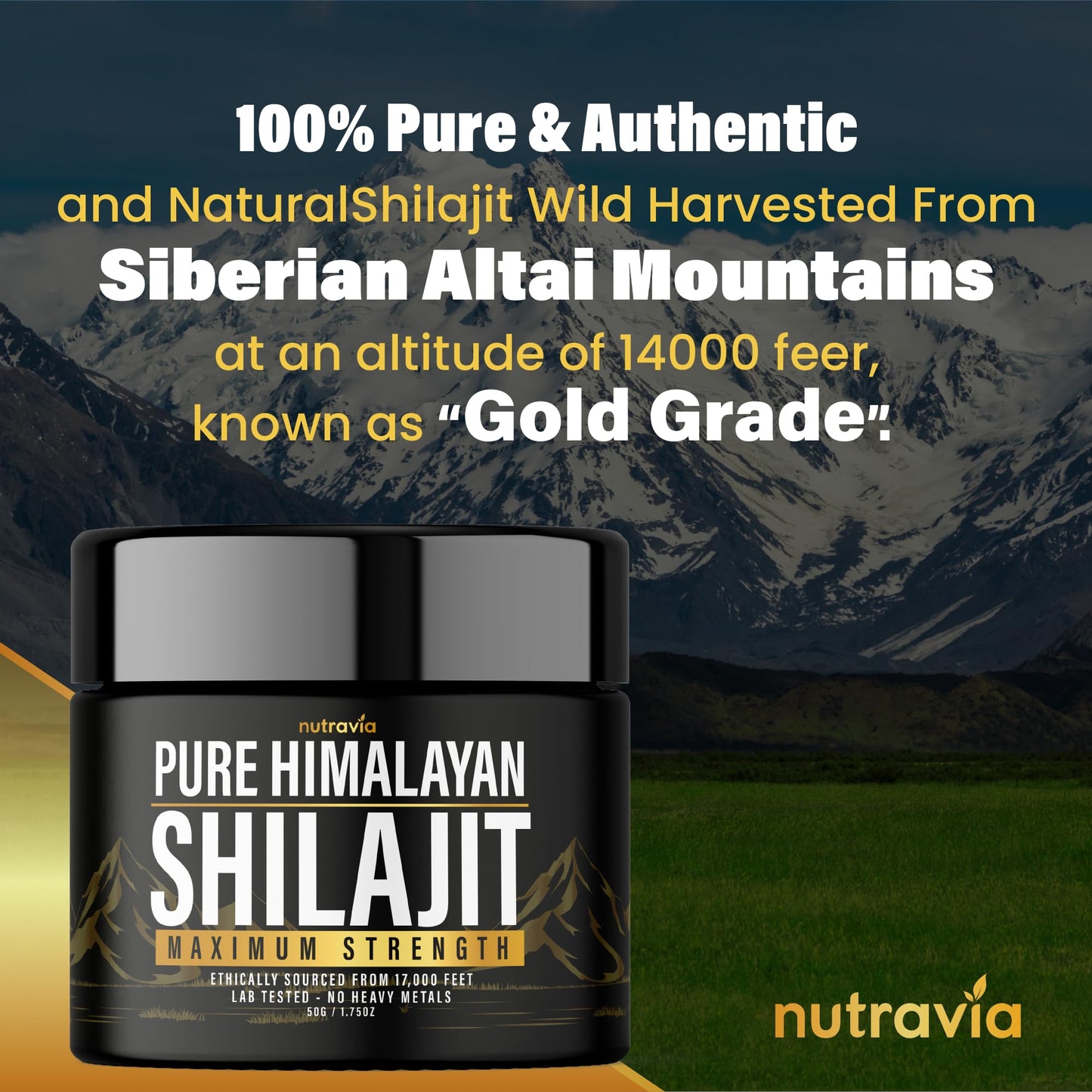 Nutravia Shilajit Capsule 600mg Max Strength with 85+ Trace Minerals Golden Grade (2 Capsules)