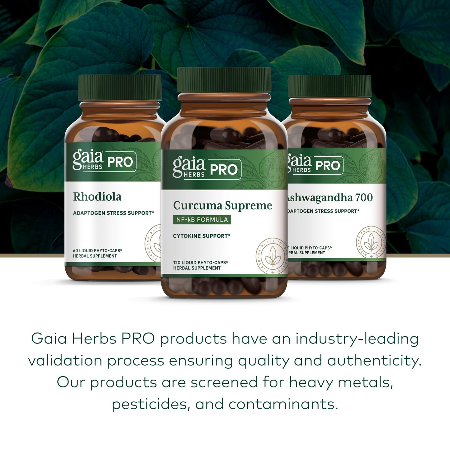 GAIA HERBS PRO Curcuma Supreme Immune Health Support Capsule 120