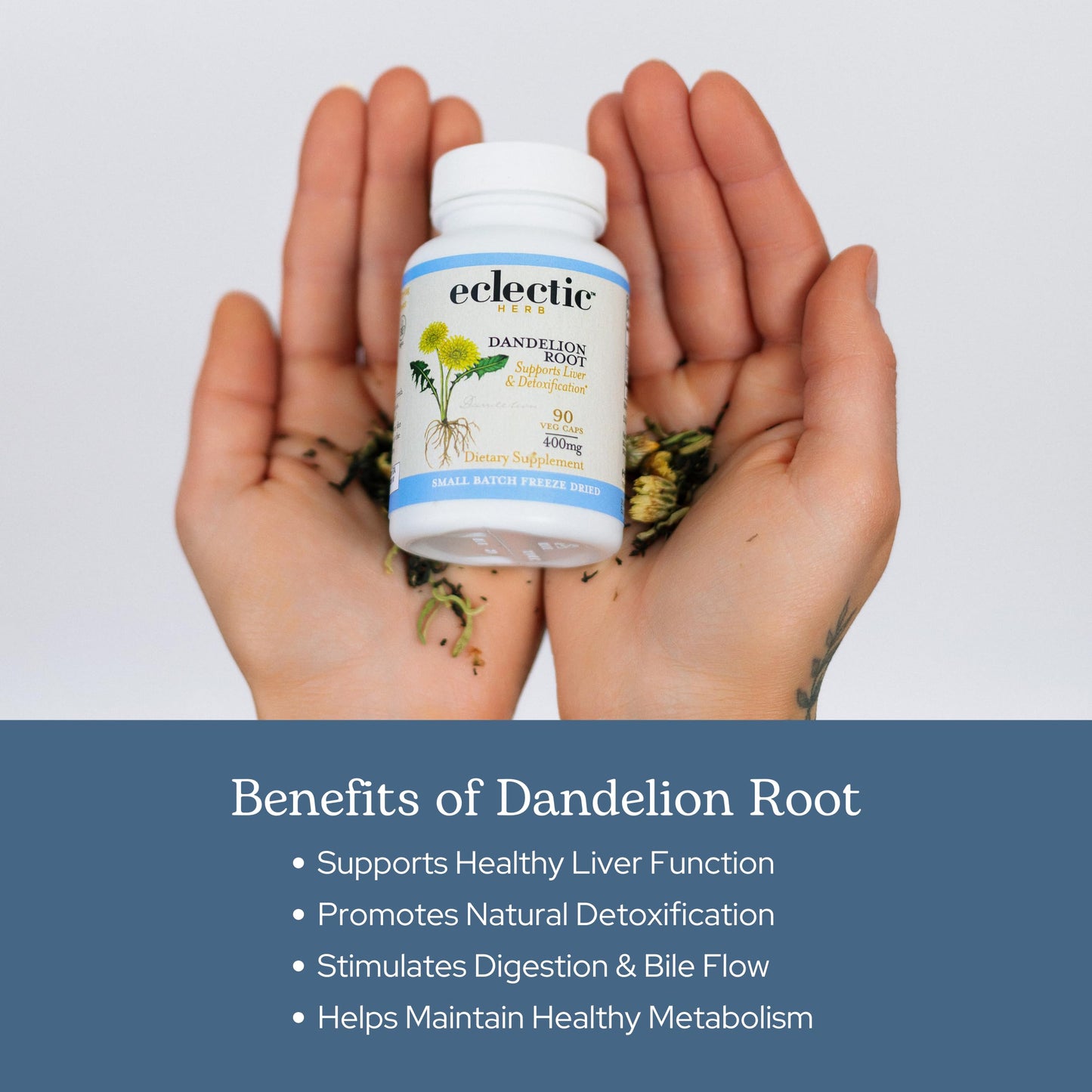 Eclectic Institute Dandelion Root Capsules 90 Count