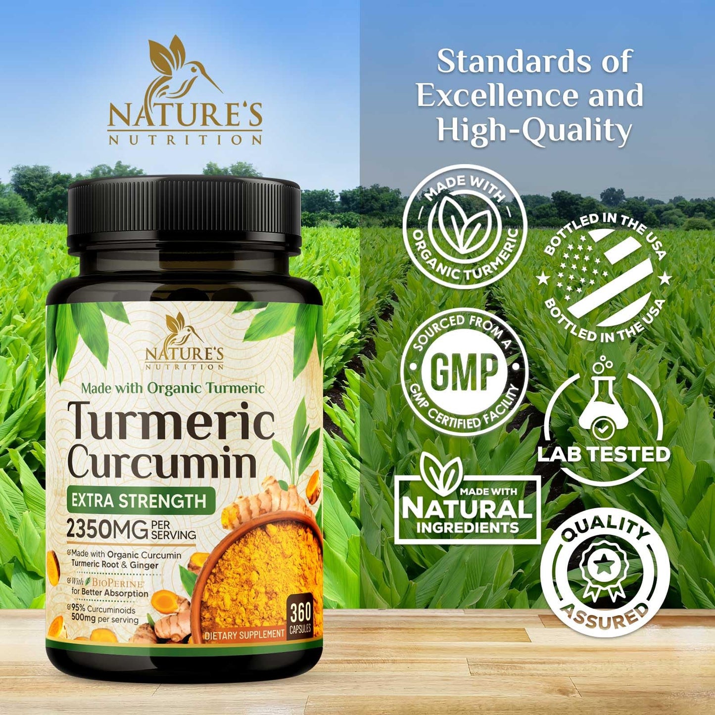 Nature's Nutrition Turmeric Curcumin Supplement 2350mg - 95% Curcuminoids with Organic Turmeric & Ginger, BioPerine Black Pepper for Absorption, Vegan Joint Support, Non-GMO, 360 Capsules