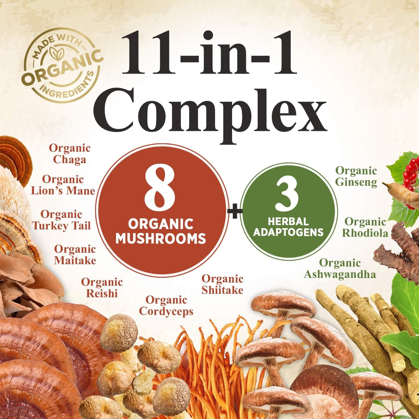 Nature's Nutrition Mushroom Powder Supplement - 11-in-1 Blend - Organic Lions Mane, Reishi, Cordyceps, Chaga, Turkey Tail Mushroom Extract Powder - Brain & Immune Support, 60 Servings