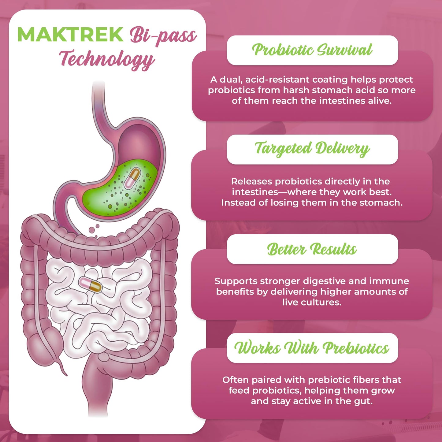 Vitaraise 60 Billion CFU Probiotic, 60 Capsules
