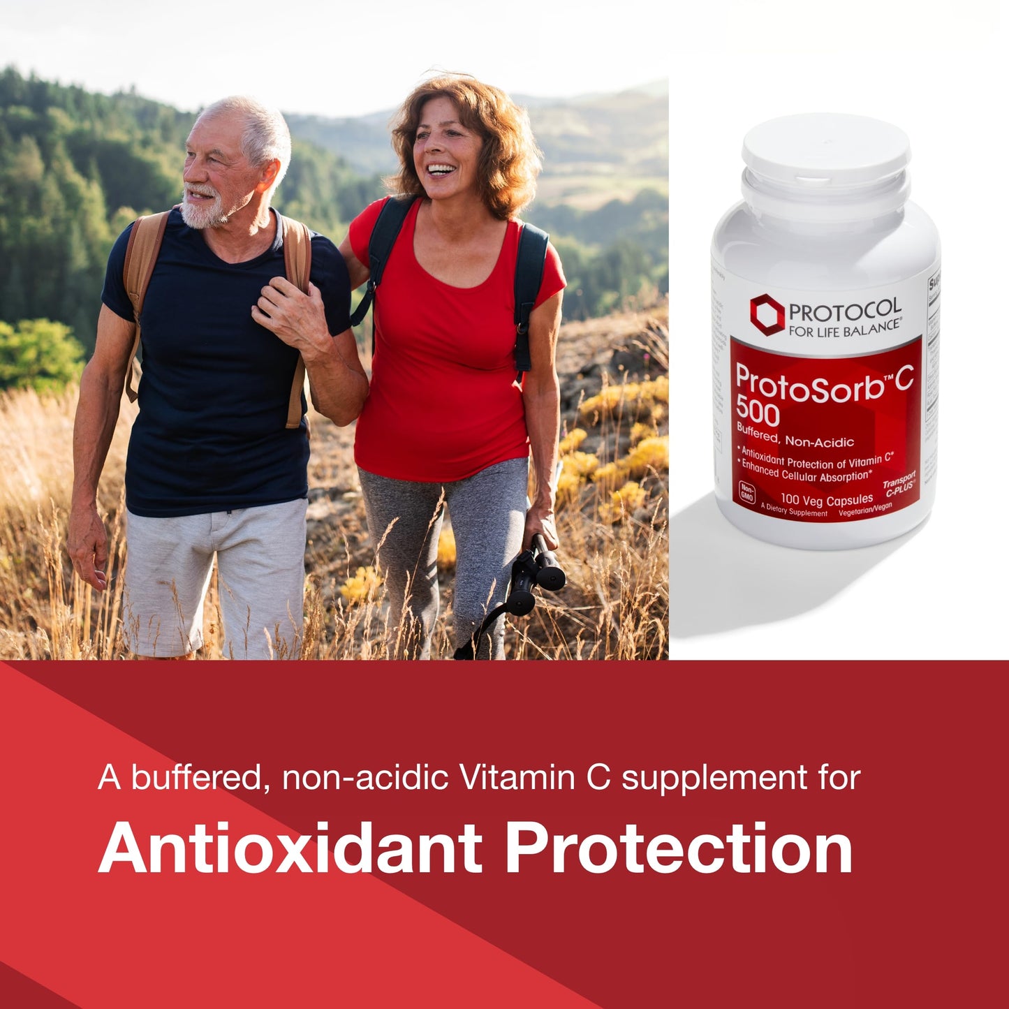 PROTOCOL FOR LIFE BALANCE Protosorb C 500 Capsules, 100 Veg Caps