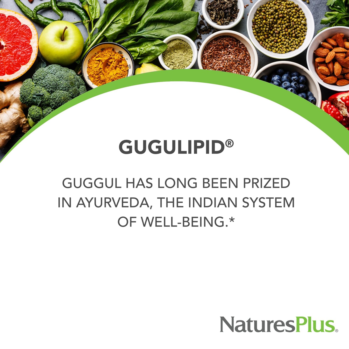 NaturesPlus Herbal Actives Gugulipid Extended Release 1000 mg 2.5% Guggulsterones, 30 Tablets