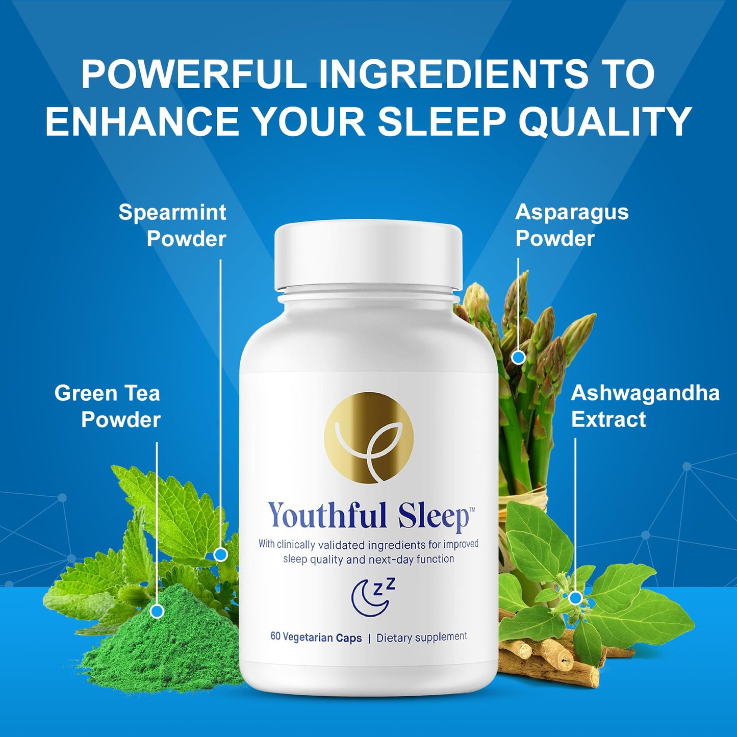 The Youthful Company Youthful Sleep Supplement Capsule 60 Capsules