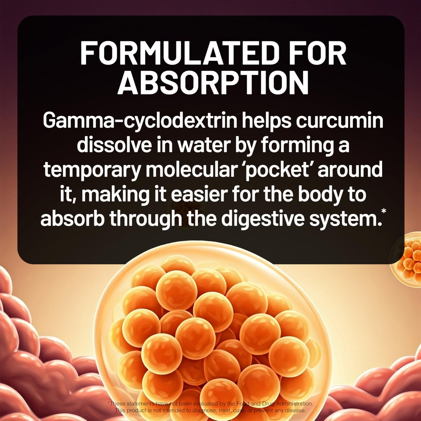 NatureWise Turmeric Curcumin 1000mg High Absorption Capsule, 60 Capsules