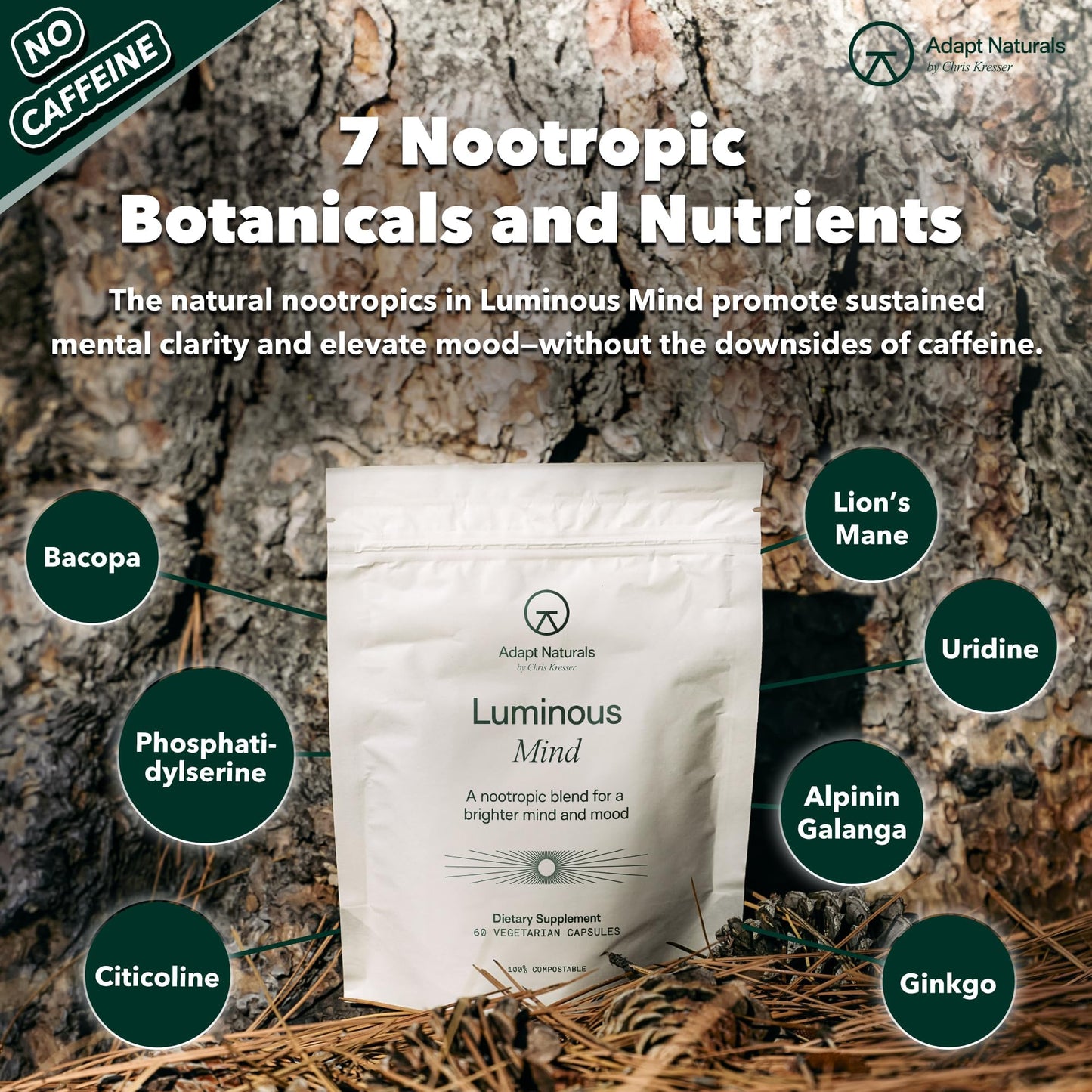 Adapt Naturals by Chris Kresser Luminous Mind Nootropic Brain Supplement with Ginkgo Biloba, Bacopa and Lions Mane Capsules 120