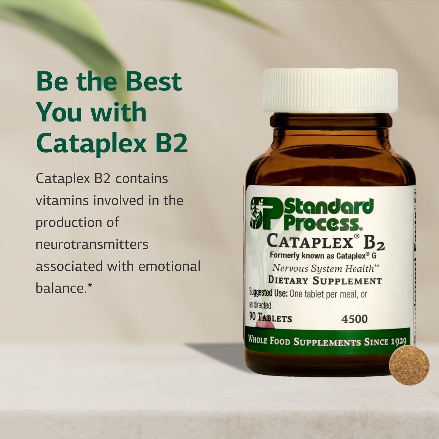 Standard Process Inc. Cataplex B2 Tablets 90 Count