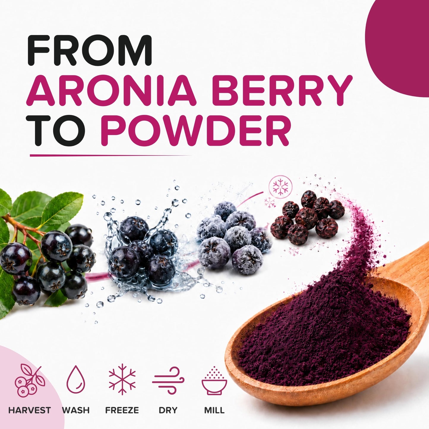 b Aronia Berry Powder, 16 Ounce