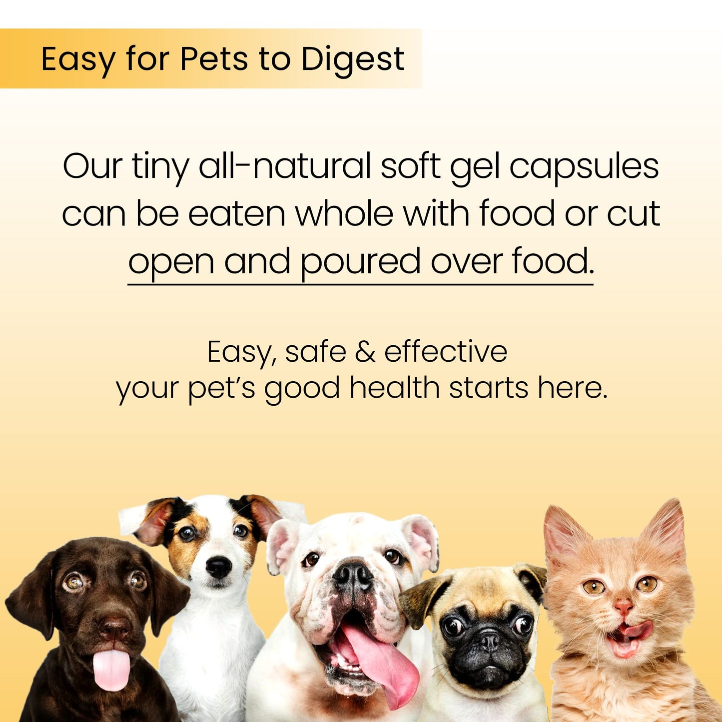 Moxxor Omega 3 for Dogs and Cats Soft Gels, 60 Soft Gels