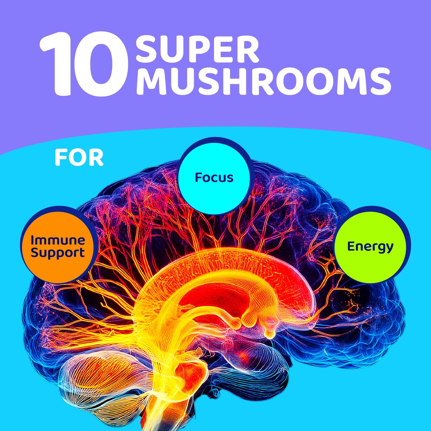 Gusevit Mushroom Gummies 60 Count