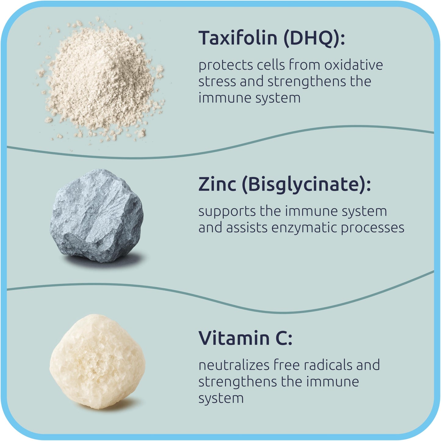 BiotaxX Taxifolin (Dihydroquercetin) + Vitamin C + Zinc 500 mg, 60 Vegan Capsules
