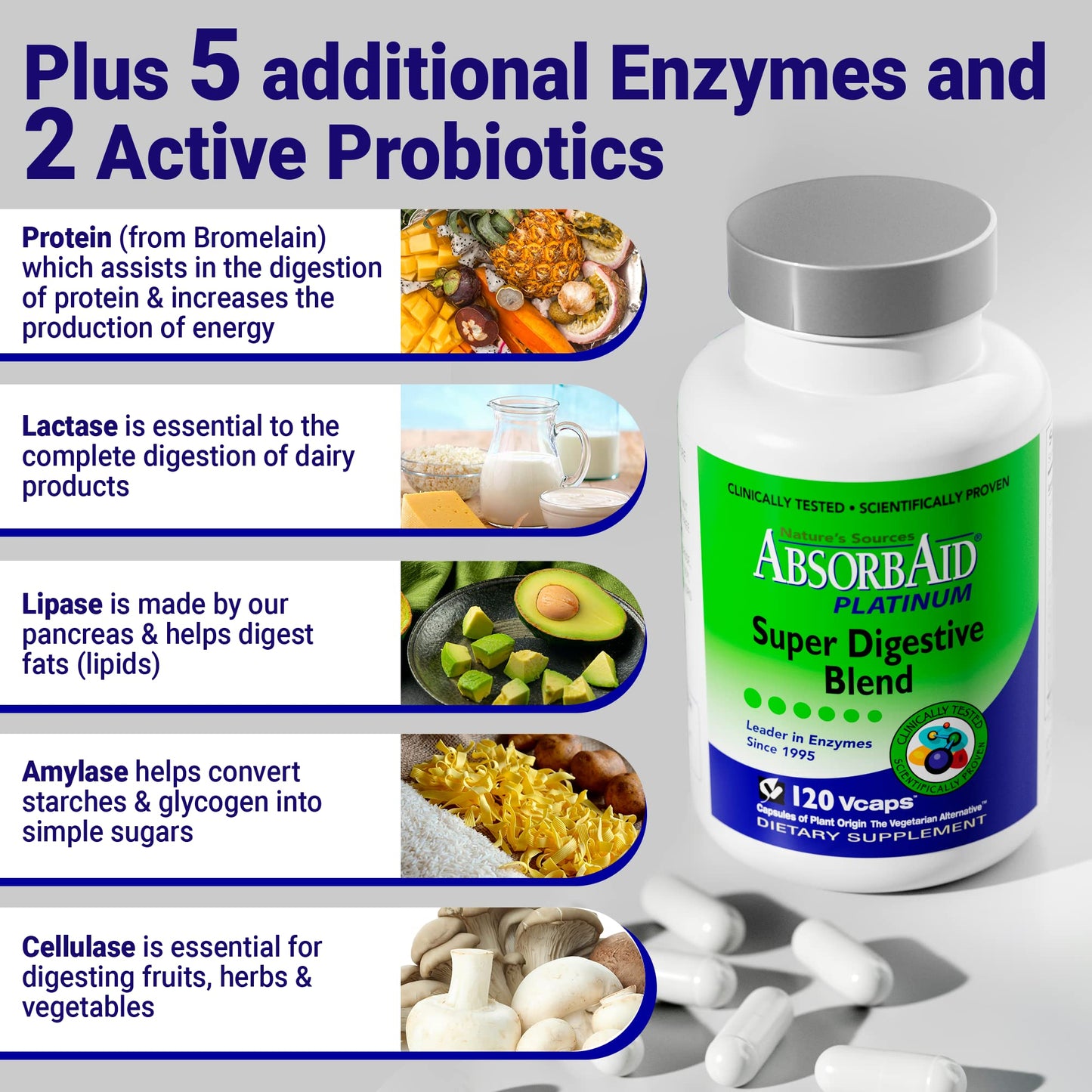 AbsorbAid Platinum Digestive Enzyme Support Capsules 120 Count