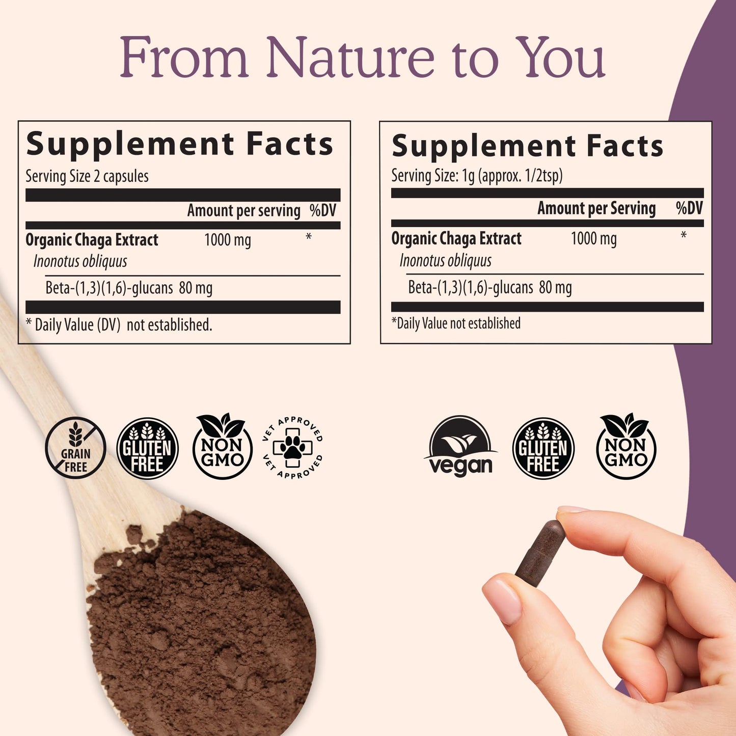 Real Mushrooms Vitamin D2, Zinc and Chaga with Reishi Bundle 120 Capsules