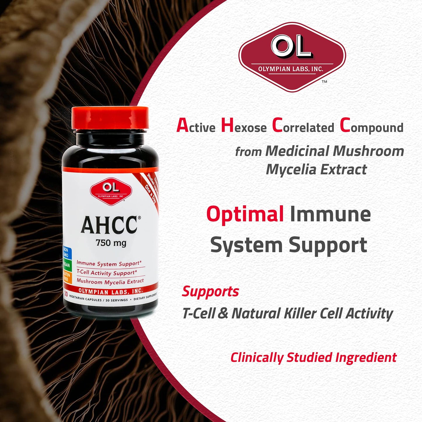 Olympian Labs AHCC Supplement Capsule 30 Capsules