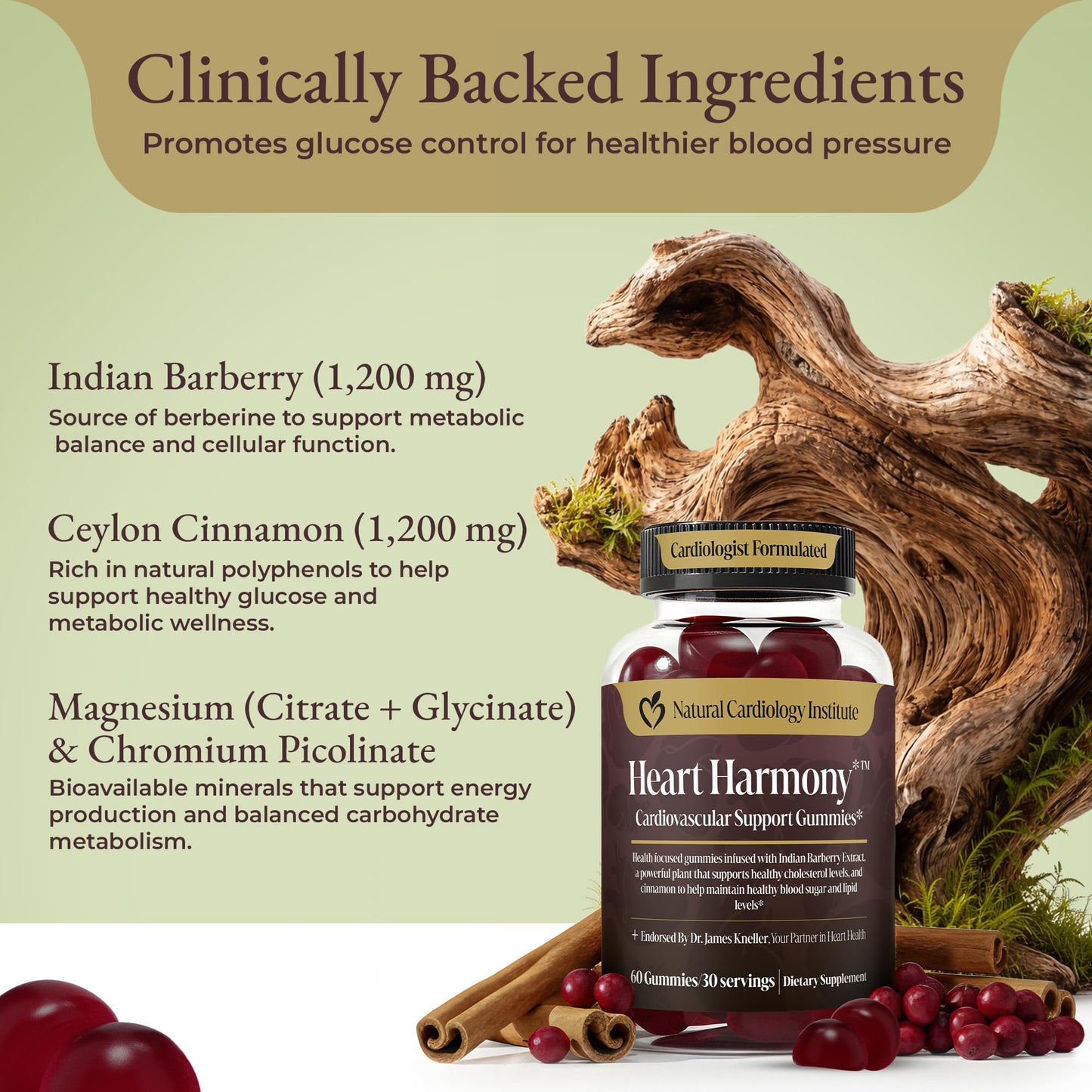 Natural Cardiology Institute Heart Harmony Berberine Supplement with Ceylon Cinnamon Gummies, 60 Count