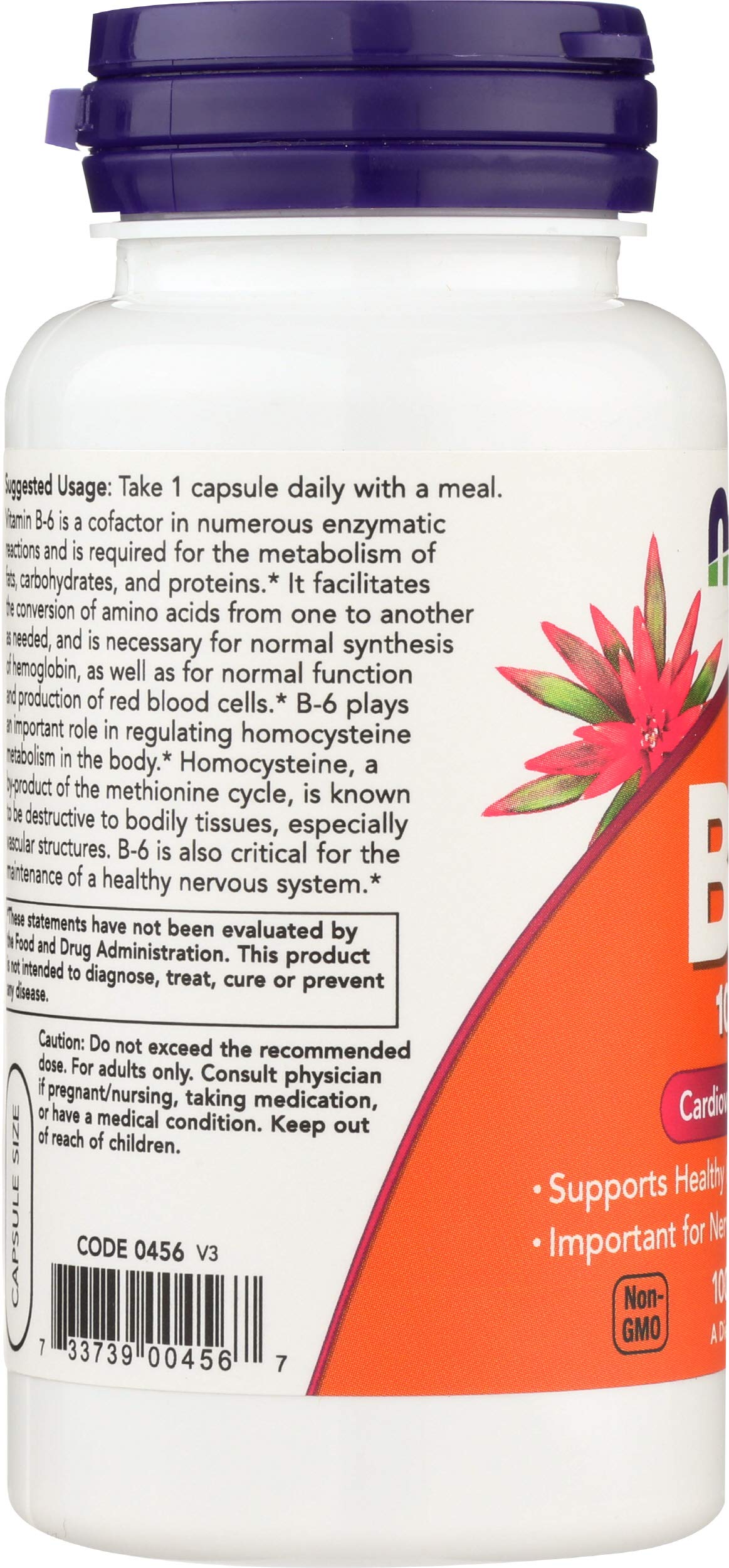 NOW Foods Vitamin B6 100 mg Capsules, 100 Count