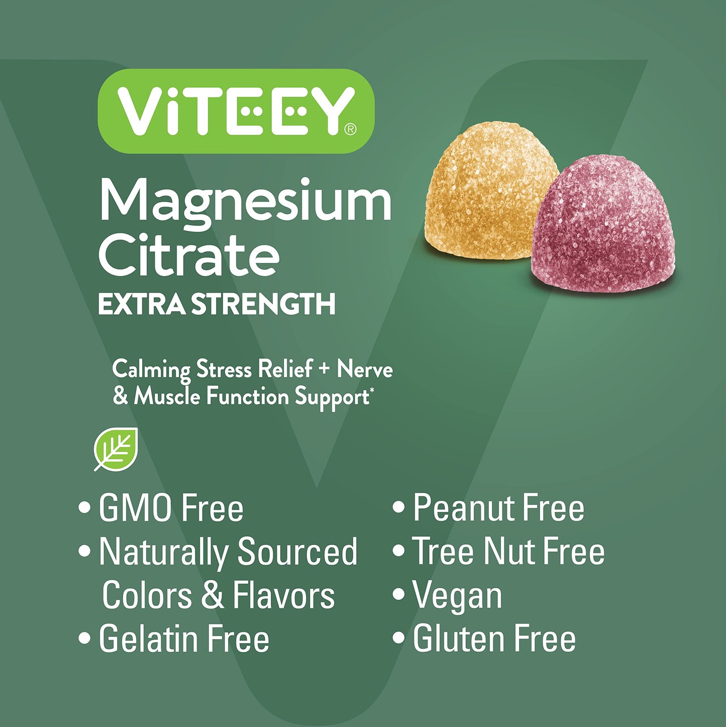 Viteey Magnesium Gummies for Adults - 170mg Magnesium Citrate per Gummy, Calm, Sleep, Nerve & Muscle Function Support - Vegan, Gluten Free, 120 Gummies