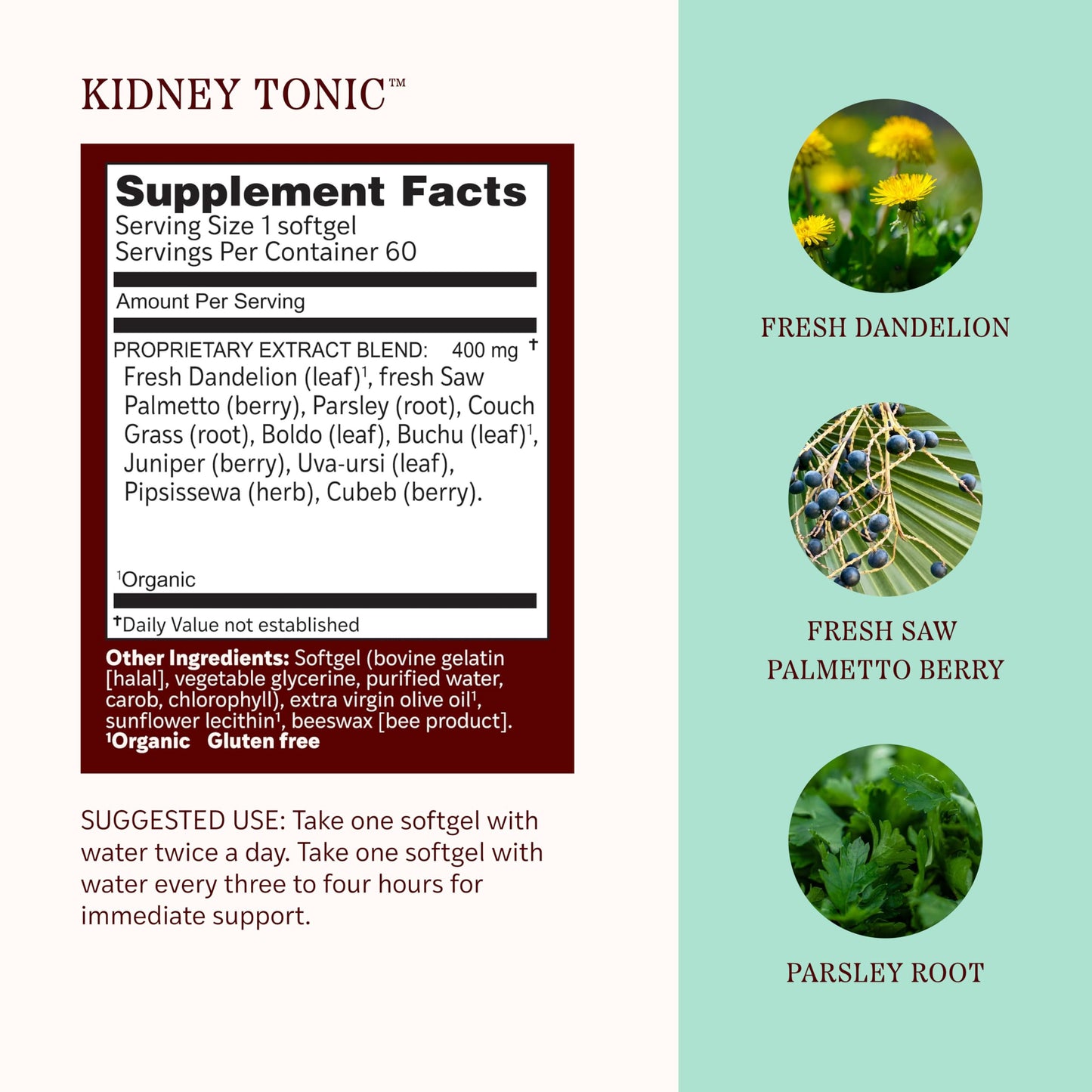 Herbs Etc. Kidney Tonic Softgels 60 Count