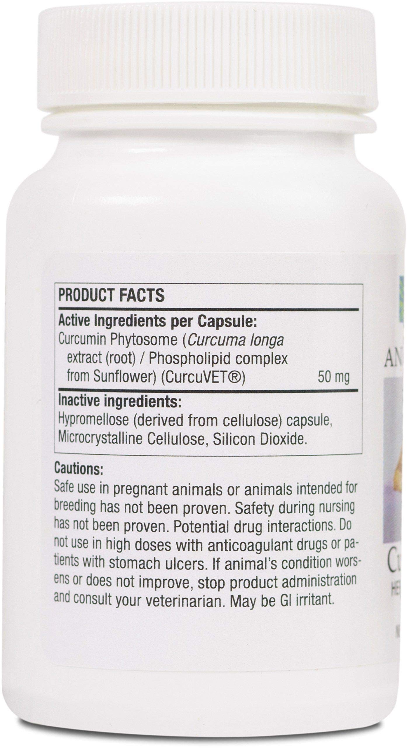 Thorne CurcuVet SA50 Capsules, 90 Count