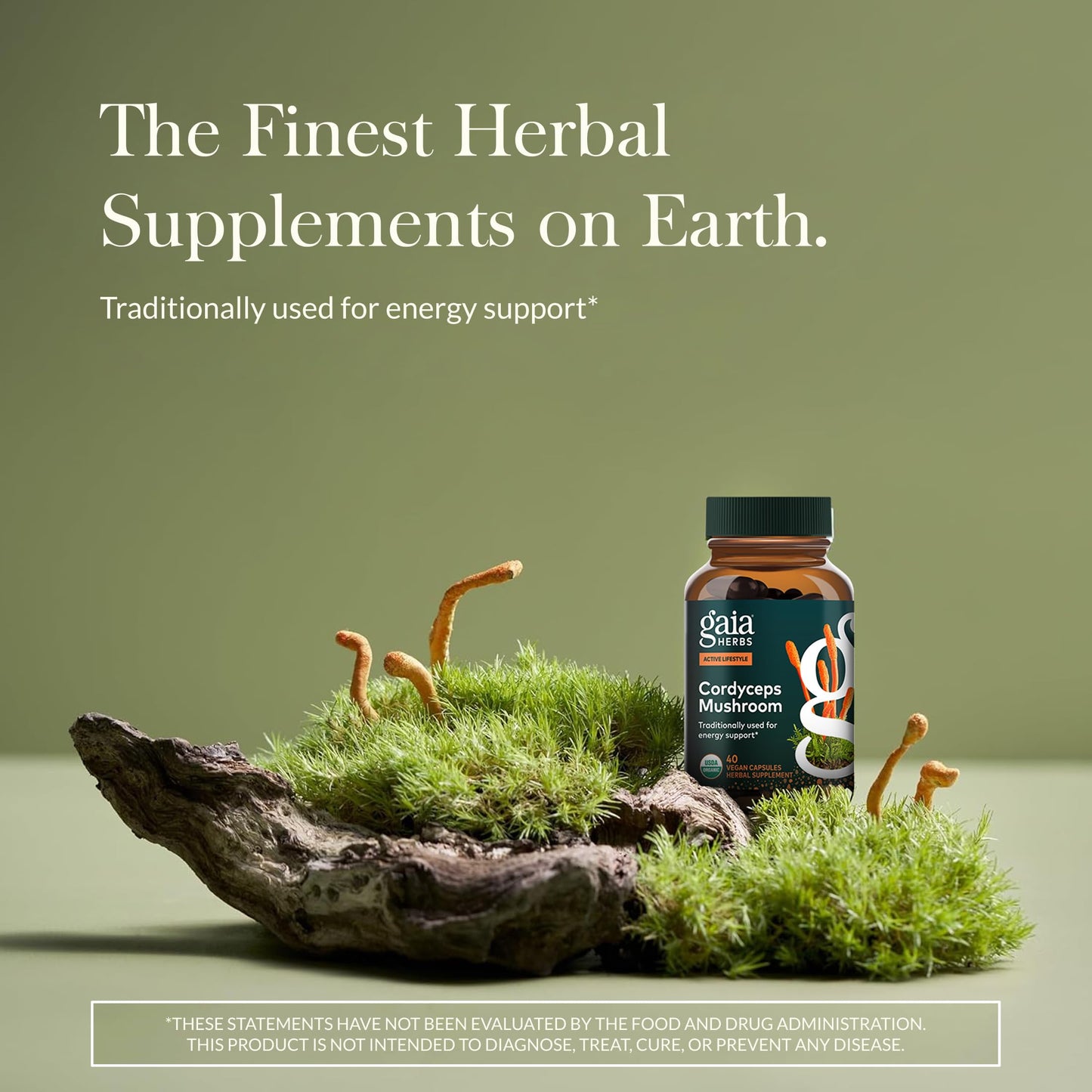 Gaia Herbs Cordyceps Mushroom Capsules 40 Count
