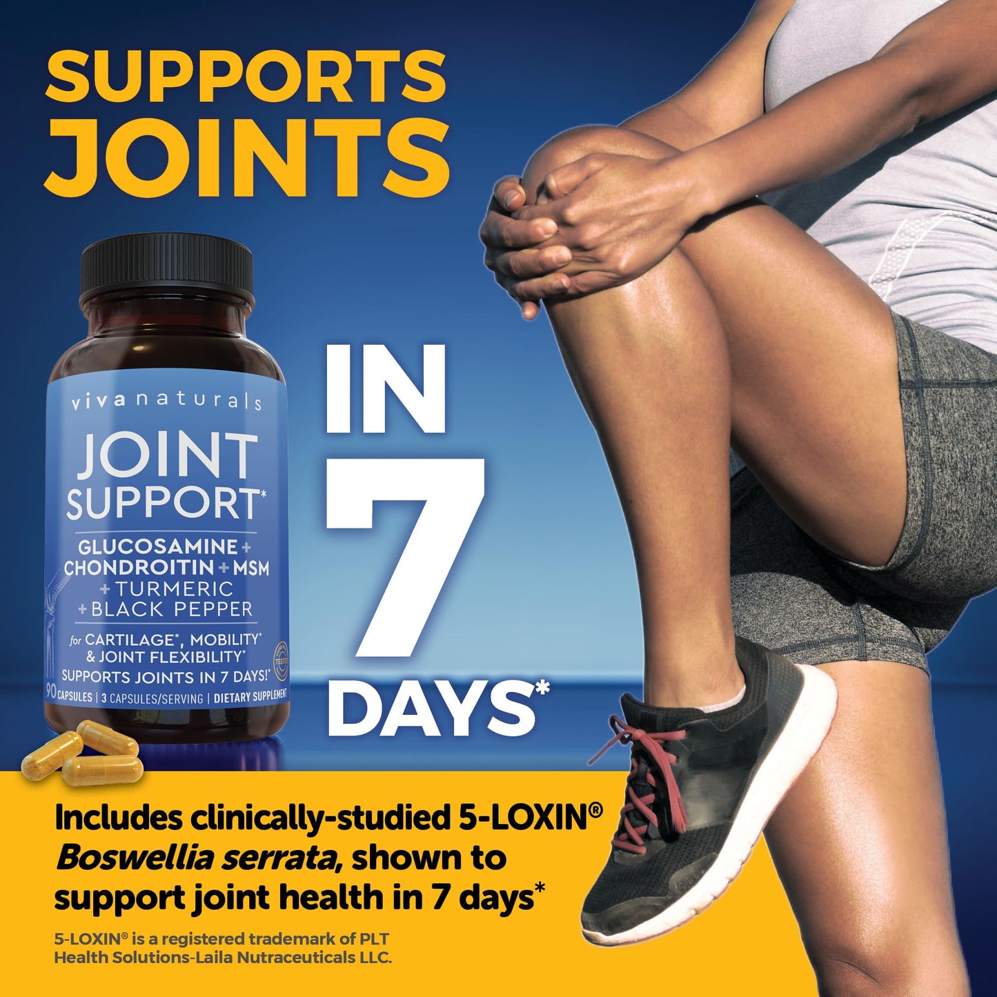 Viva Naturals Glucosamine Chondroitin MSM Joint Support Supplement 90 Capsules