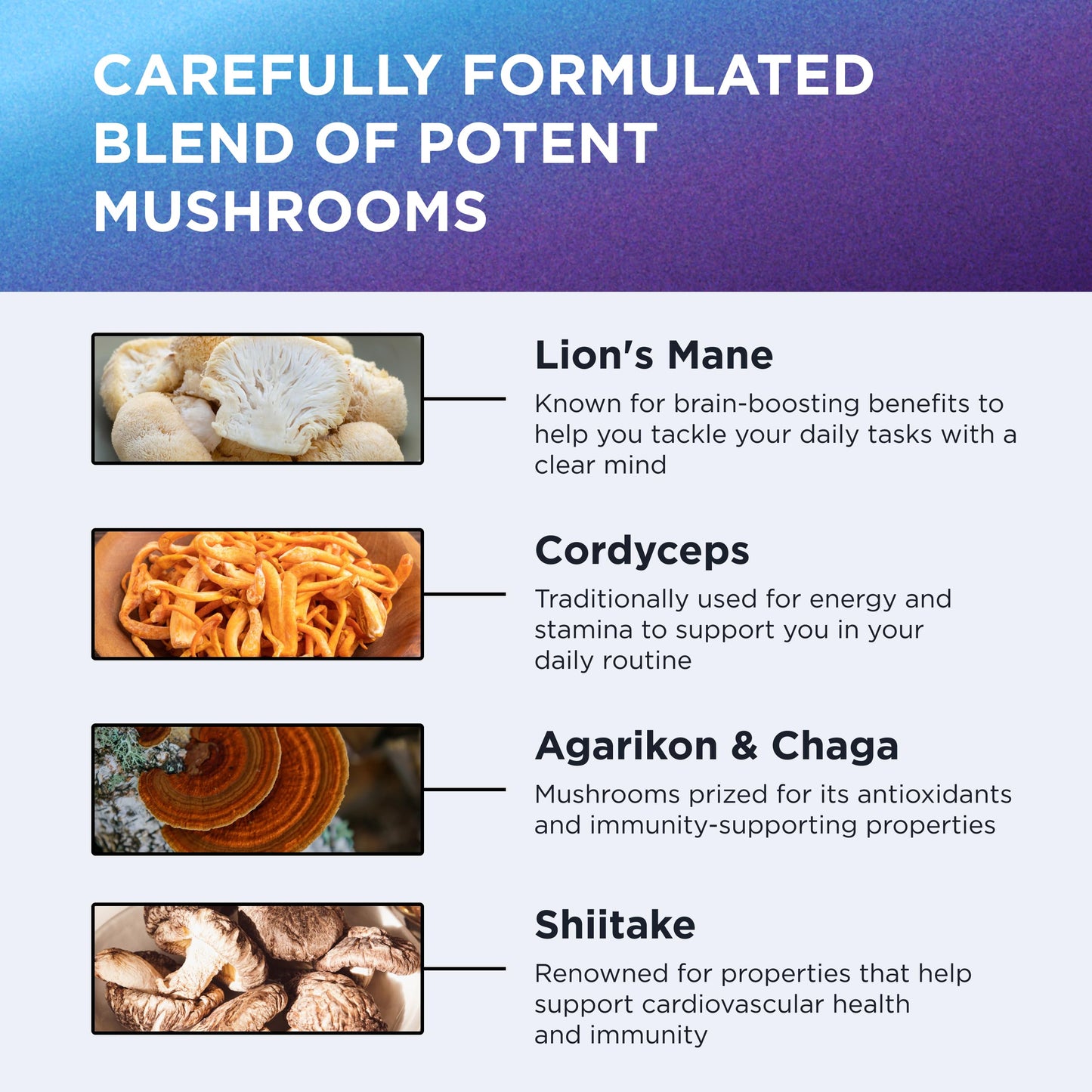 DR. EMIL NUTRITION 10 Mushroom Supplement for Mental Clarity, Focus & Immune Support Capsule, 1 Count
