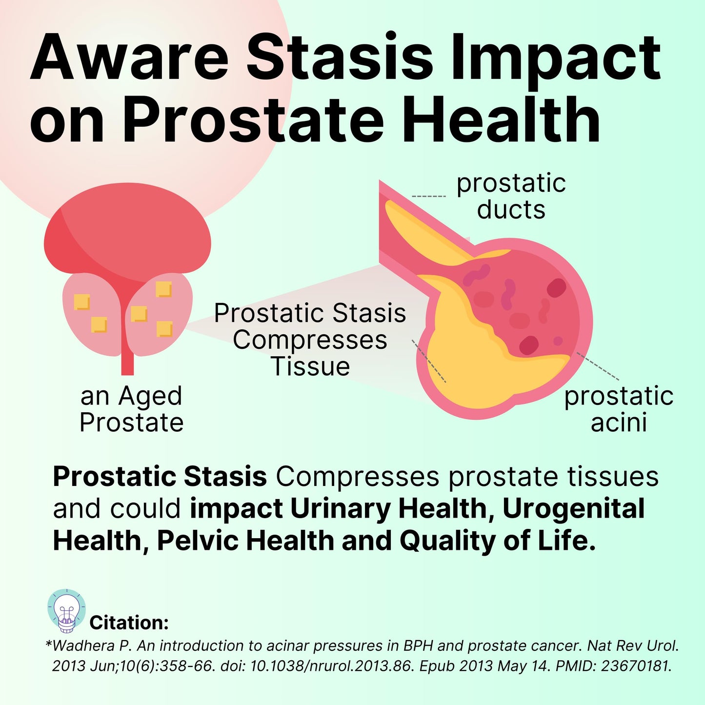 AOLYM Prost-Care Prostate Supplements Powder 6-Count