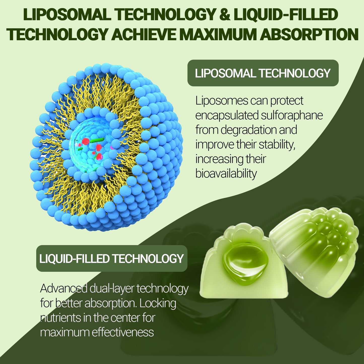Herbovella Broccoli Sprout Liposomal Sulforaphane Gummies, 60 Count