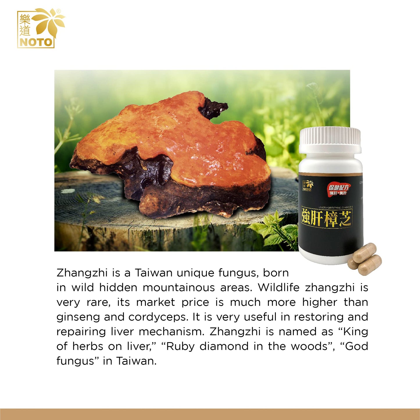 NOTO Liver Fortifying Zhangzhi Capsules, 60 Count