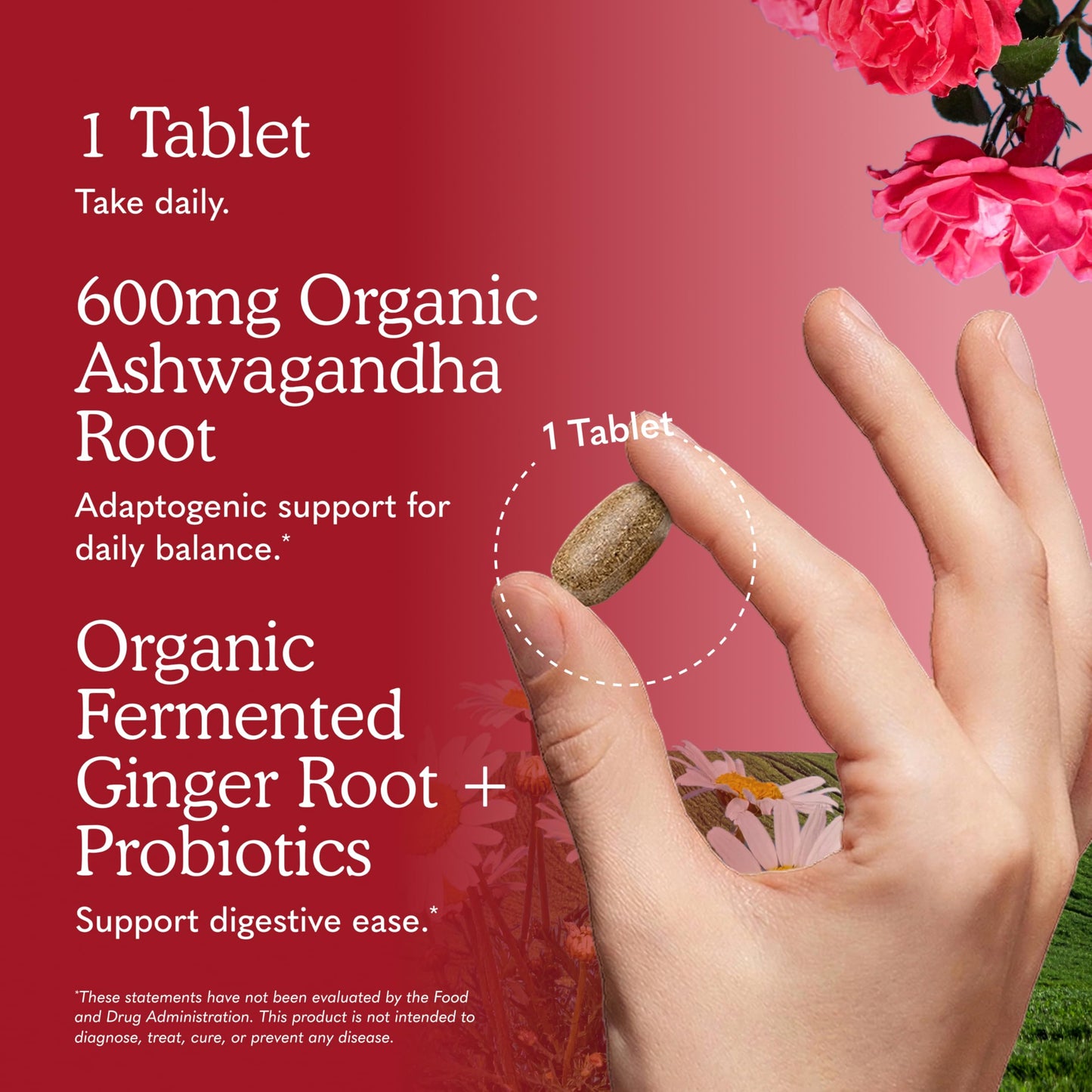 Garden of Life Organic Ashwagandha Supplement with Probiotics & Ginger Tablets 60 Tablets