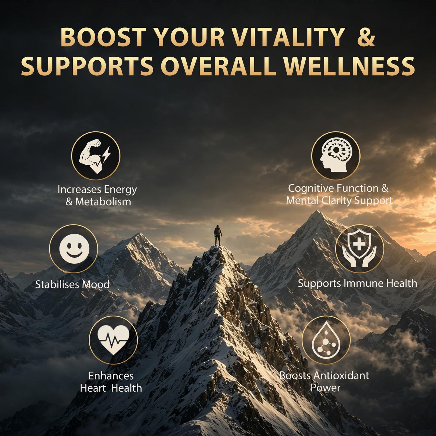 Puyflam Shilajit 85 Capsules