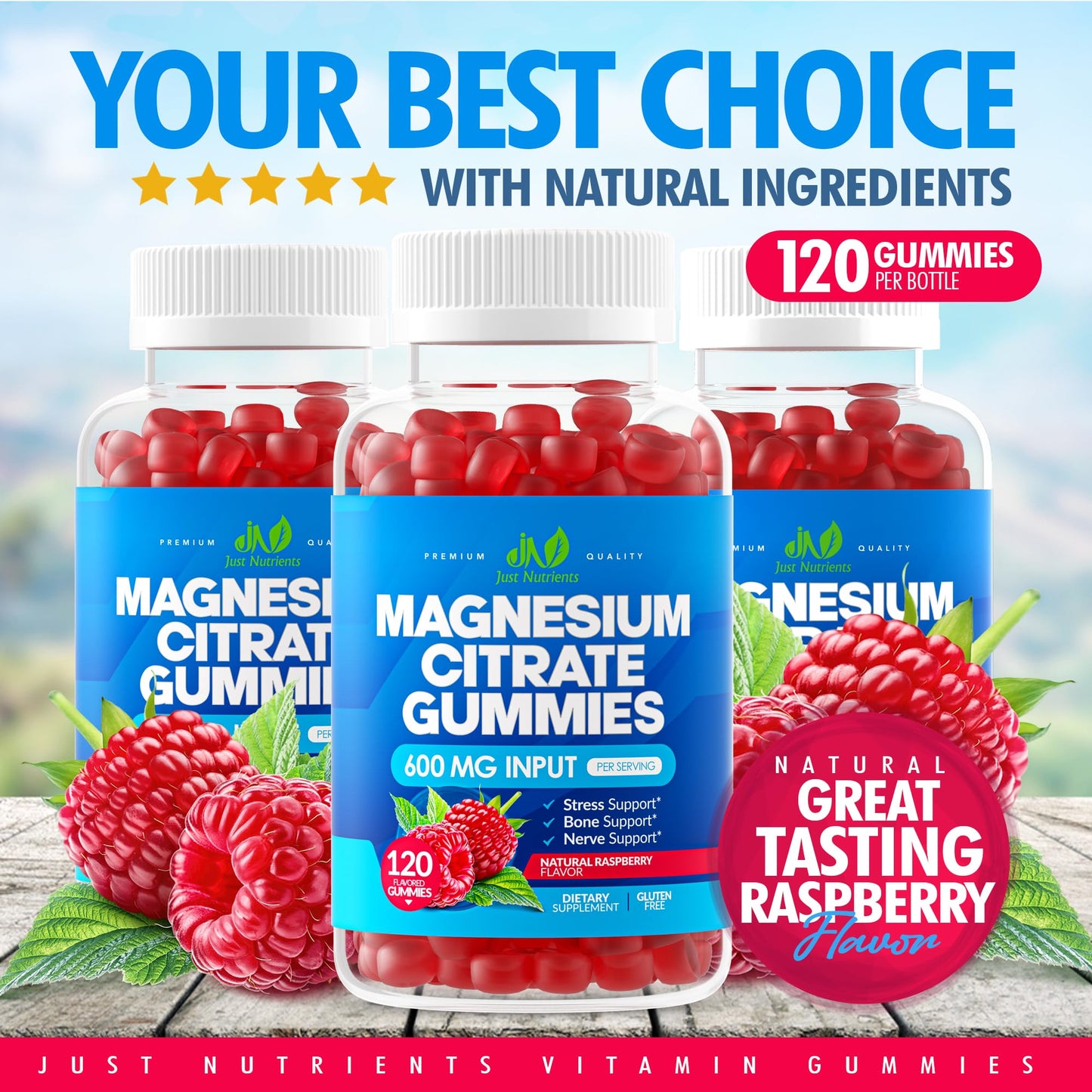 Just Nutrients Magnesium Citrate 600mg Gummies, 120 Count