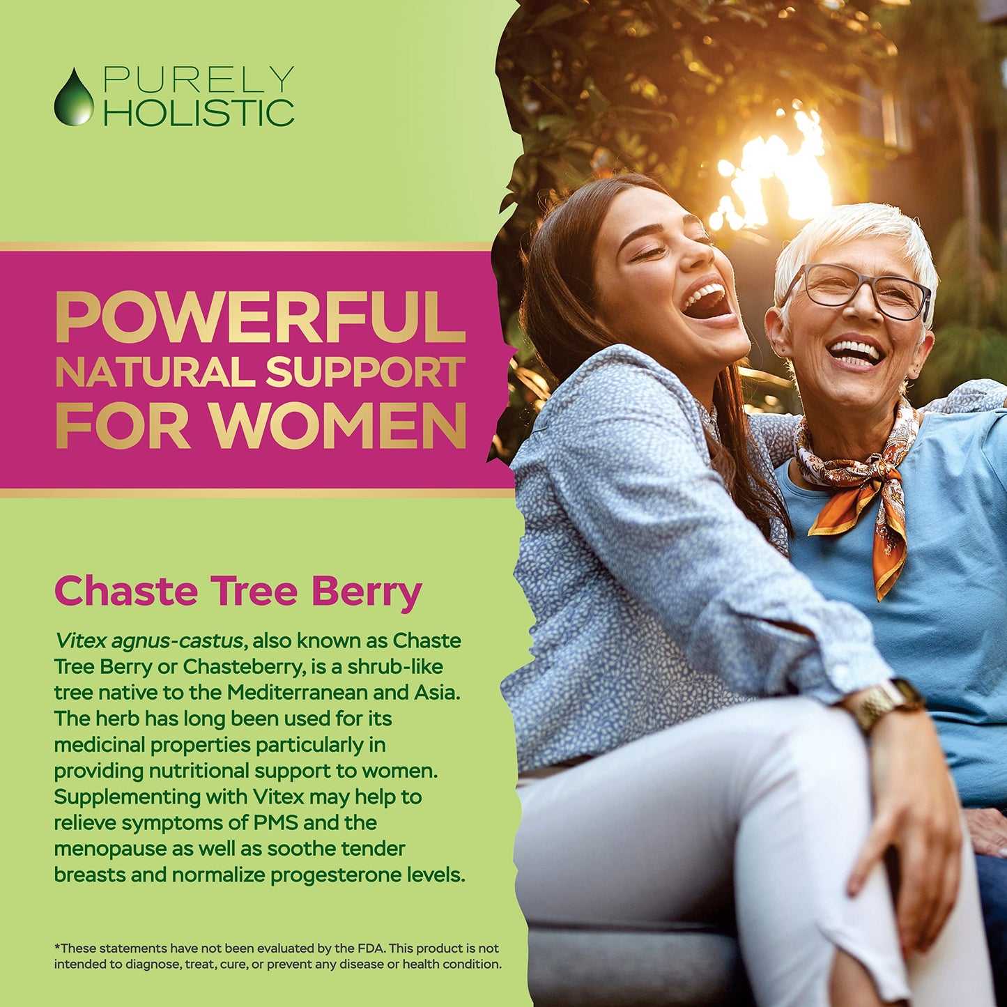 Purely Holistic Chasteberry Vitex Supplement 650mg Capsule 120 Count