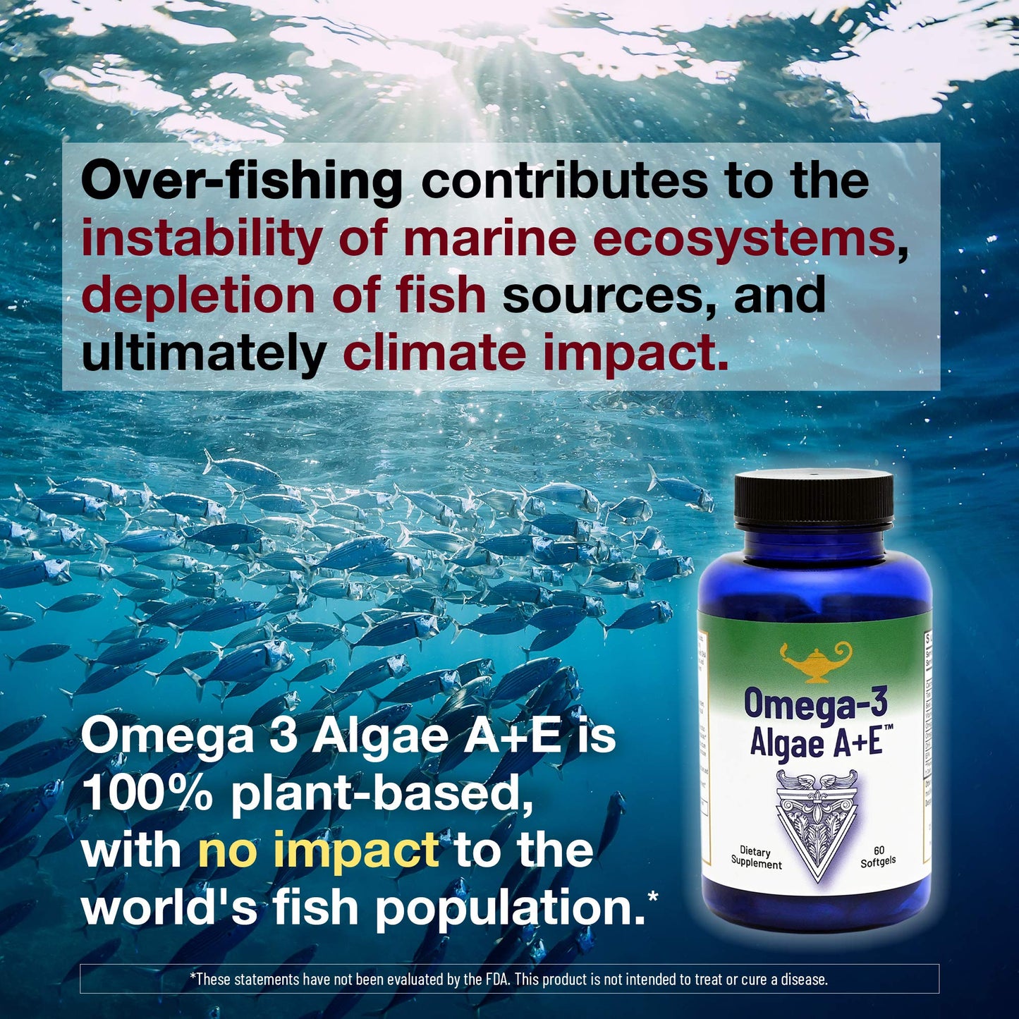 RnA ReSet Omega-3 Algae A+E Capsule 1 Count