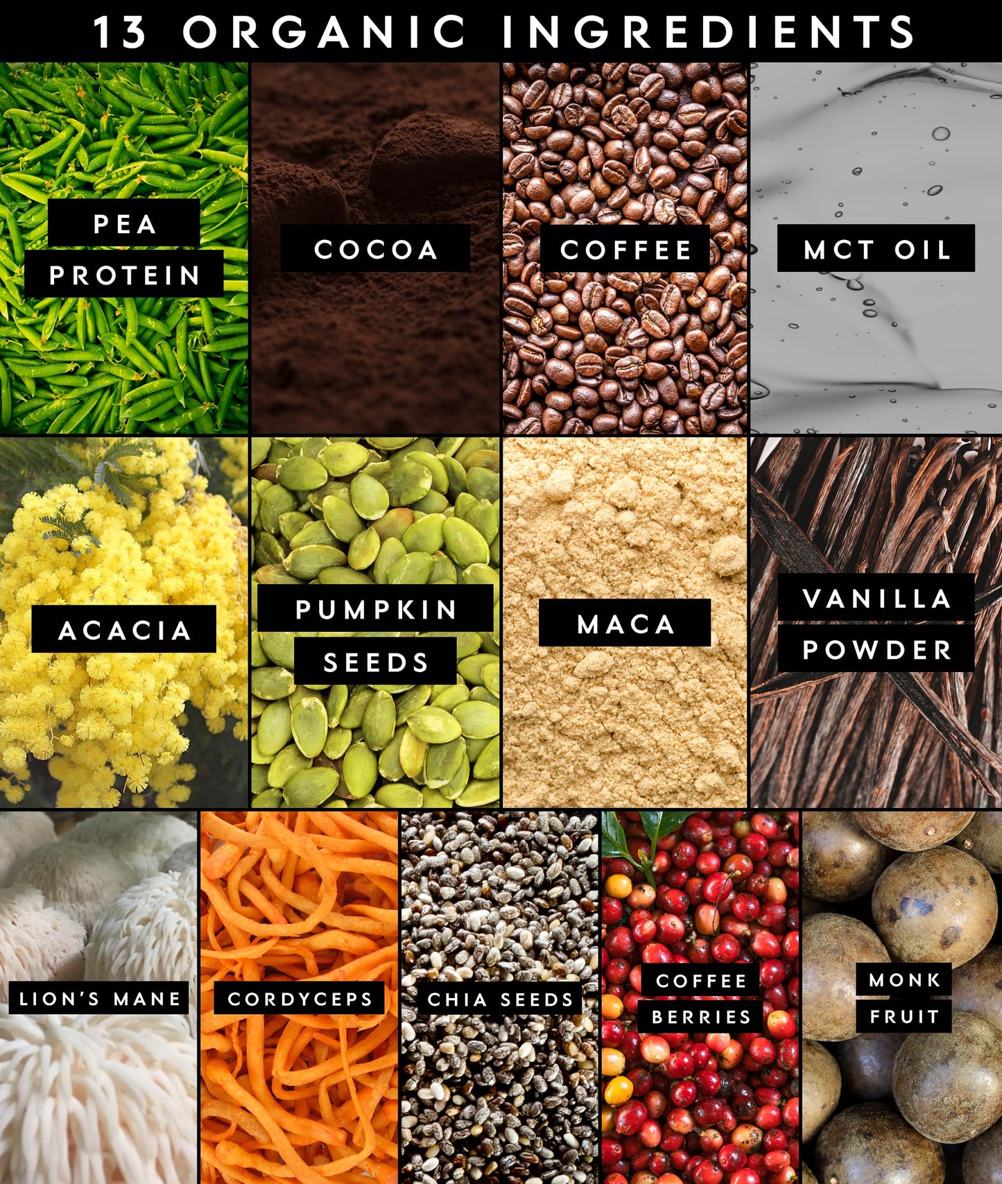 Truvani Protein + Energy Chocolate Mocha Powder, 20 Servings