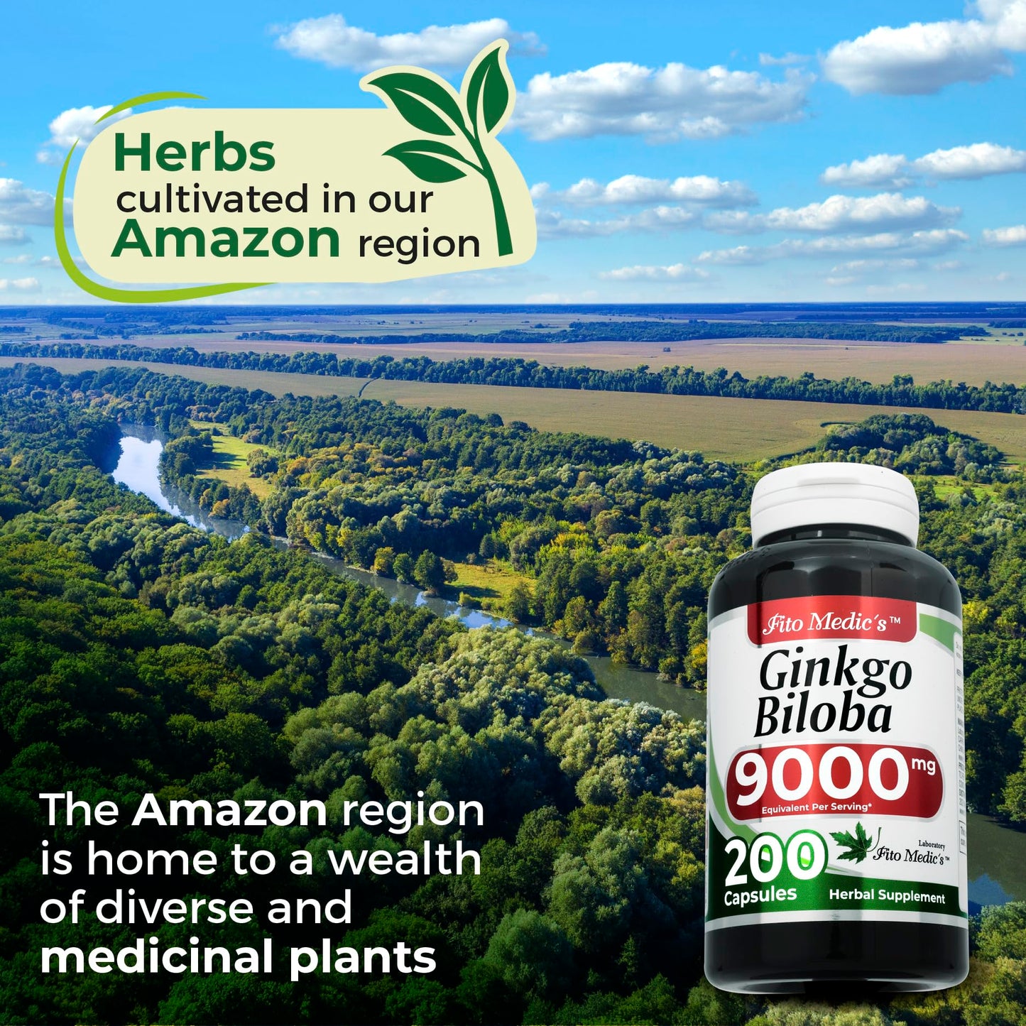 FITO MEDIC'S Ginkgo Biloba Capsules 200 Capsules
