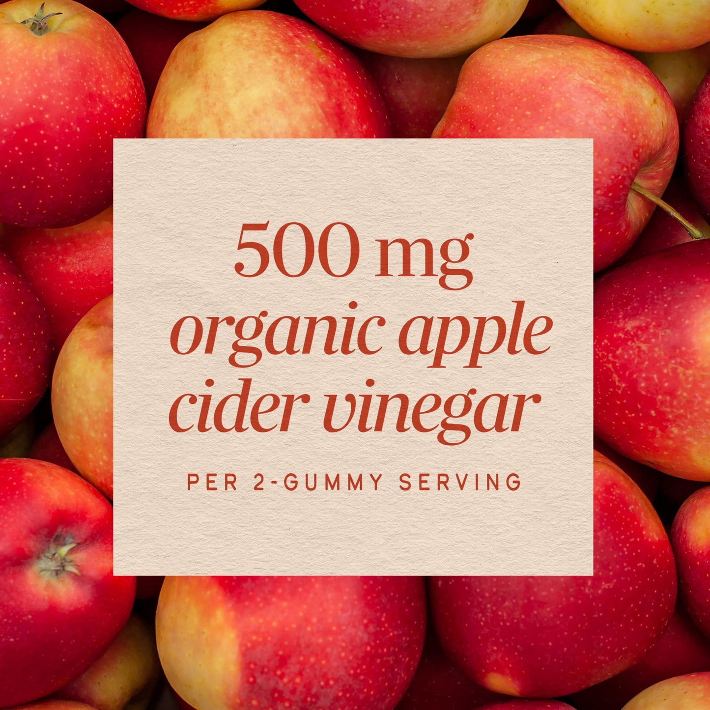 Nature's Way Organic Apple Cider Vinegar Gummies 60 Count