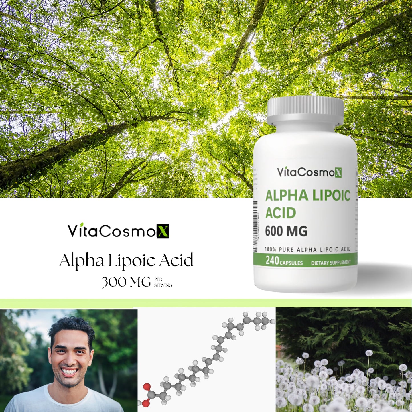 VitaCosmoX Alpha Lipoic Acid Supplement Capsule 240 Count