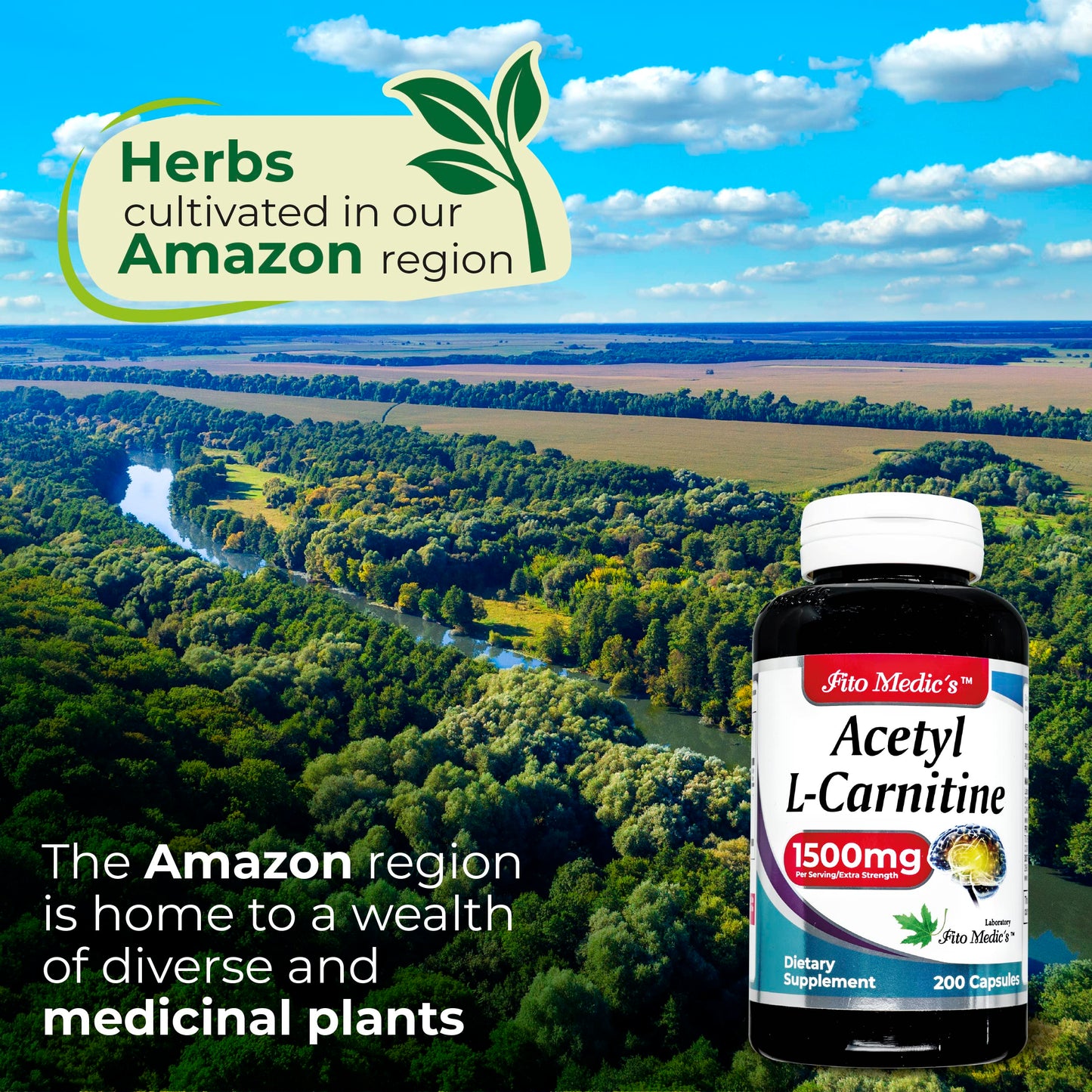 FITO MEDIC'S Acetyl L-Carnitine Supplement, 200 Capsules