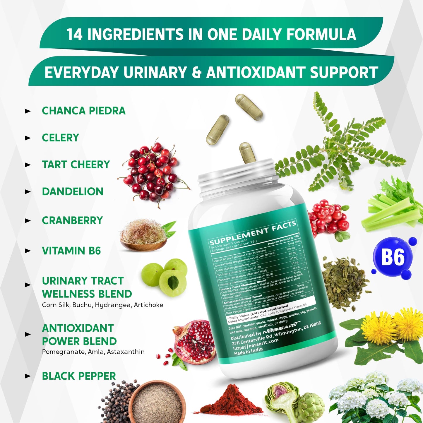 NESSARIT Chanca Piedra, Celery Seed, Tart Cherry, Dandelion & Cranberry 150 Capsules