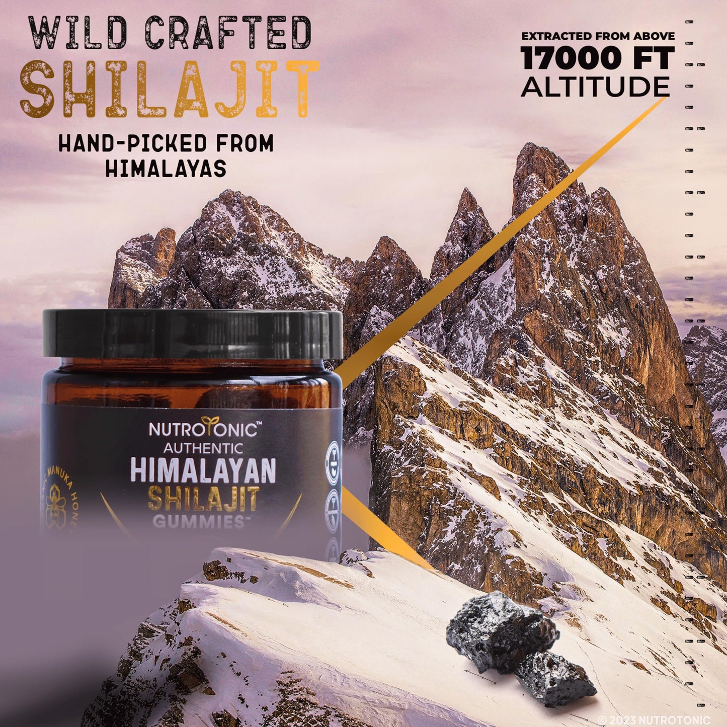 NutroTonic LLC Organic Himalayan Shilajit Gummies – Peach Vanilla Flavor – Shilajit for Men & Women – Wild Crafted Manuka Honey MGO +263 – Made in USA, 30 Gummies